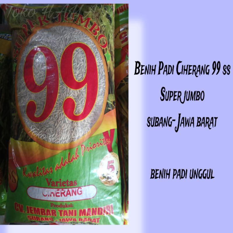 Benih Padi Ciherang 99 Ss/Kemasan 5Kg/