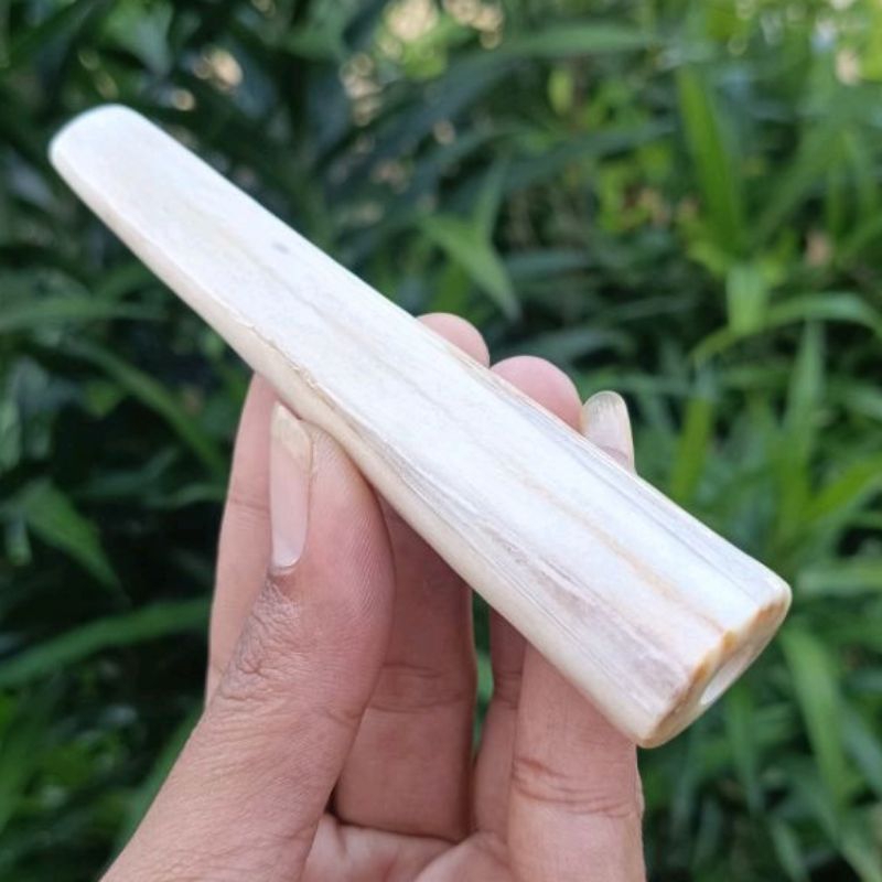 Once pipa tulang moncong marlin asli