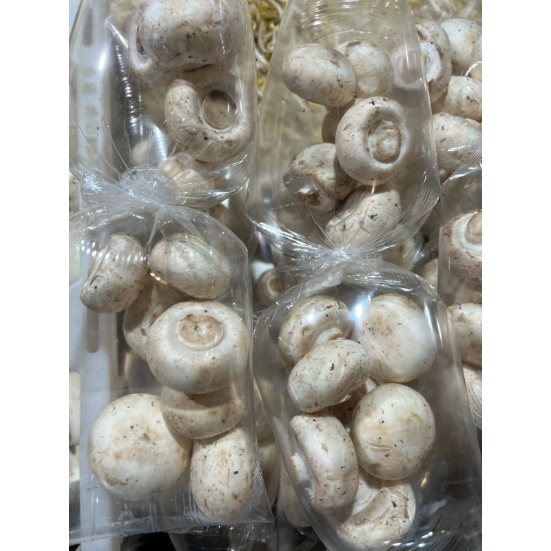 

Jamur kancing segar
