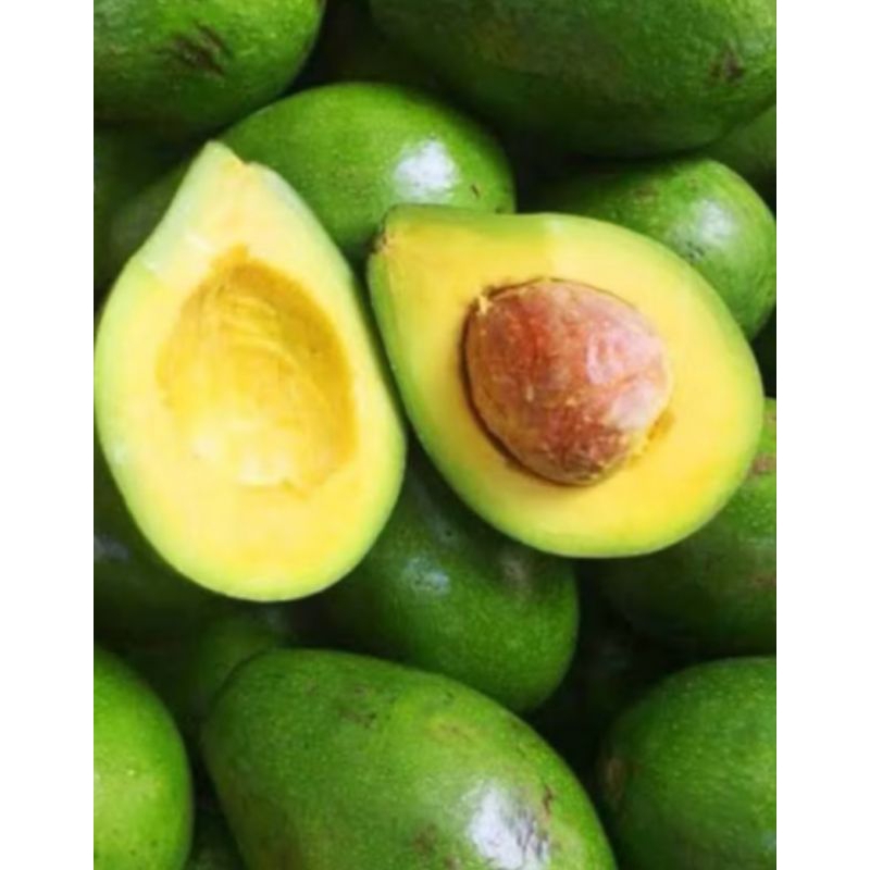 

ALPUKAT MENTAGA ASLI 1KG ISI 5-6-7
