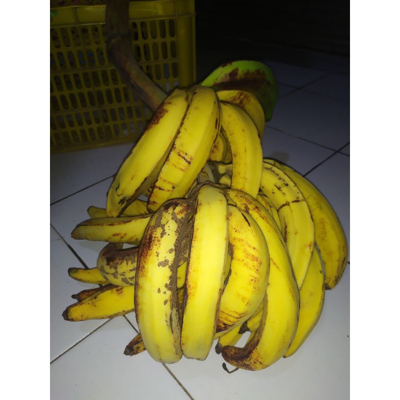 

pisang tanduk fres mateng promo berat 1000gr isi 4-6 pcs