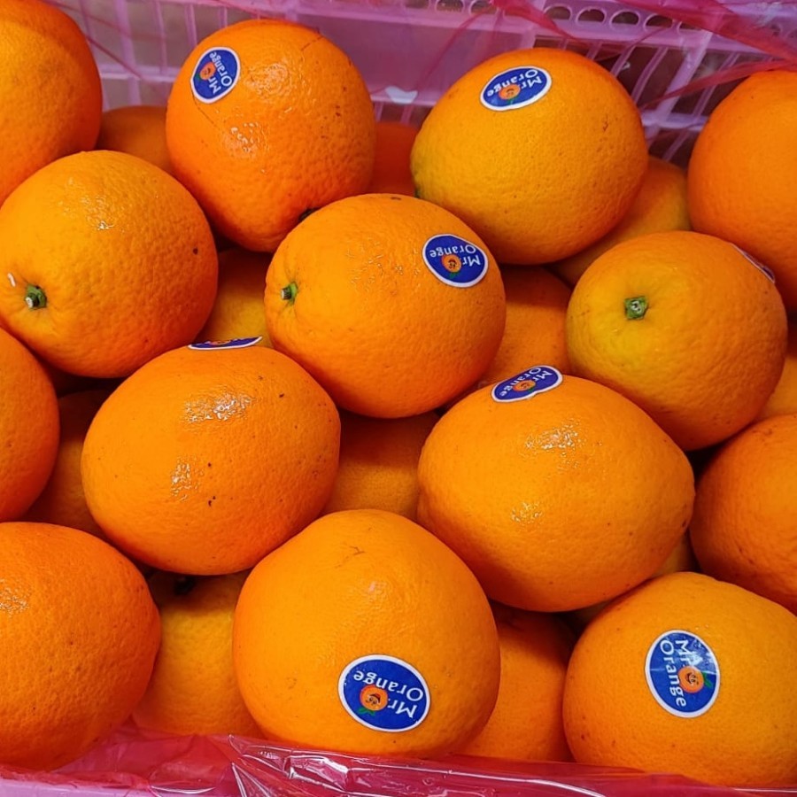 

Jeruk Honey Navel RRC China MR ORANGE IMPORT 1 krat 14 kg