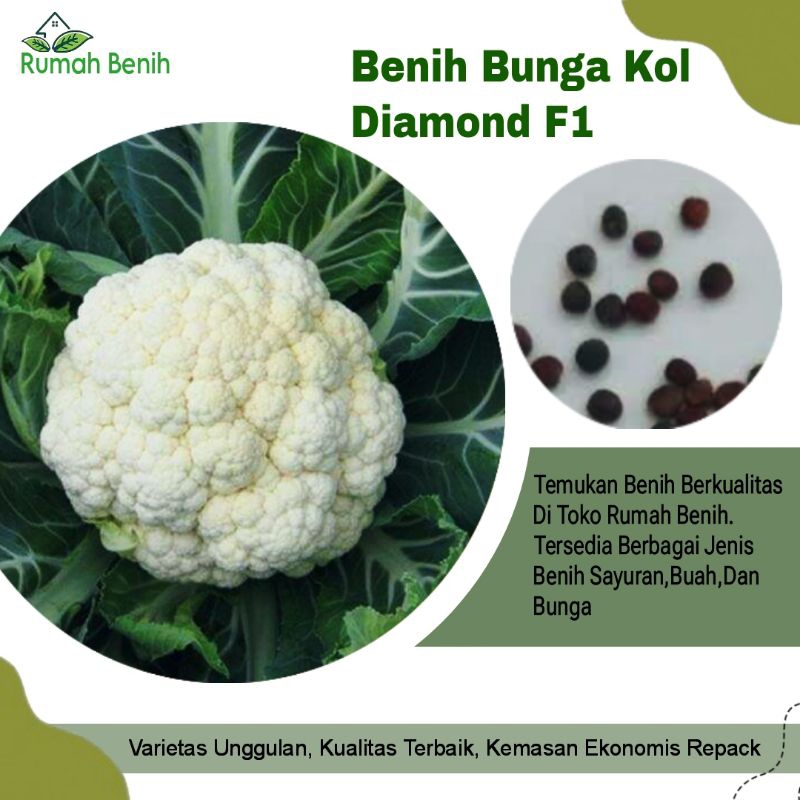 Benih Bunga Kol Diamond F1 / Bibit Benih Kembang Kol / Biji Benih Kembang Kol / Bibit Bunga Kol / Be