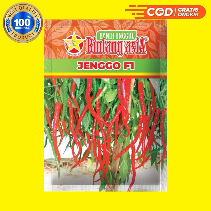 Benih Cabe Keriting JENGGO F1 - Bintang asia