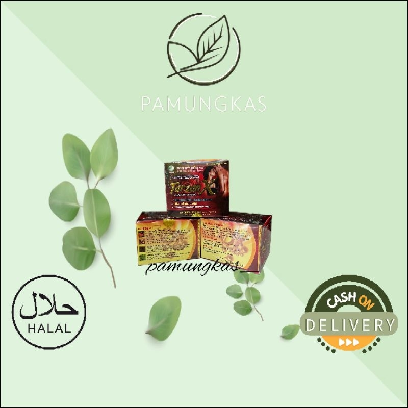 TERBAIK!! TARZAN// X// KUAT DAN TAHAN LAMA