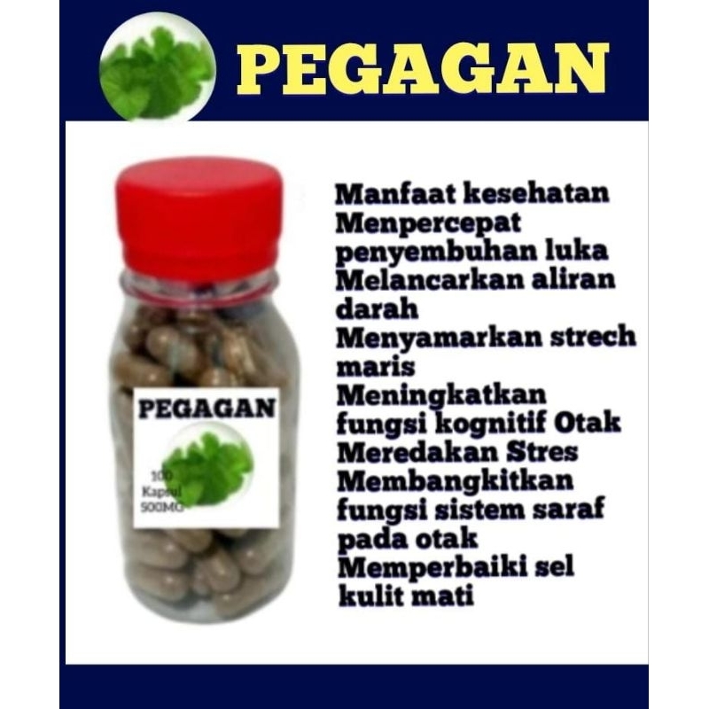 PEGAGAN Kapsul Herbal 50