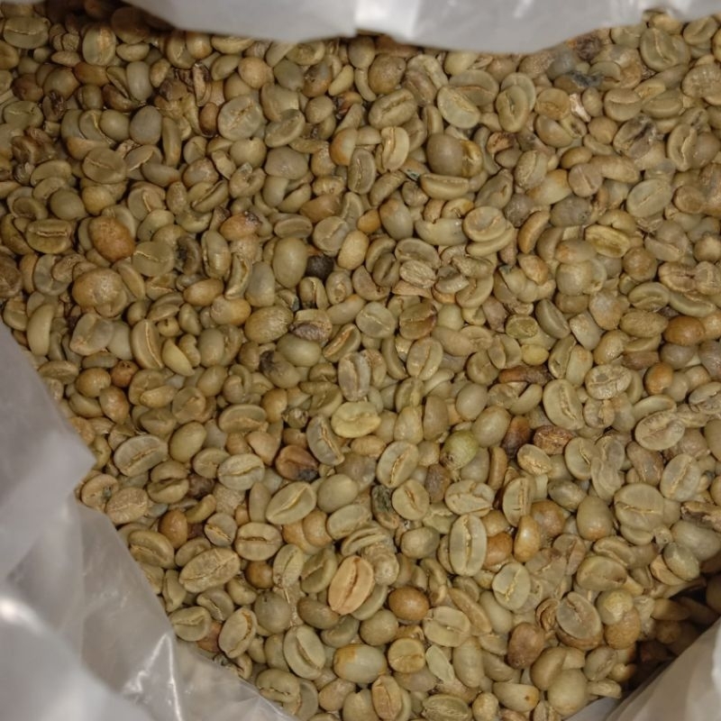 biji kopi hijau Arabika Priangan kering