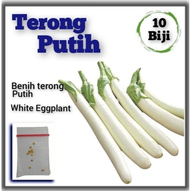 Benih Terong Putih Bibit Tanaman Sayuran Cap Panah Merah Unggul Berkualitas