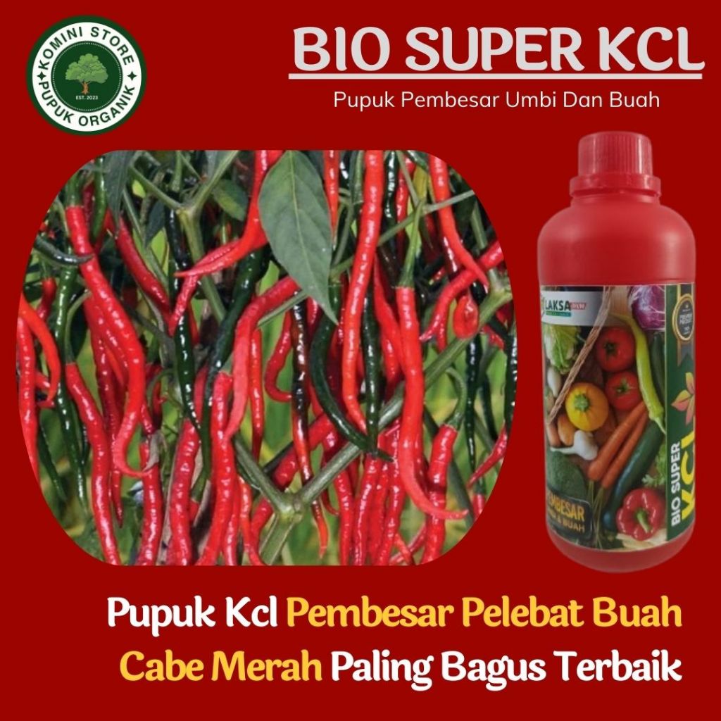 PUPUK BOOSTER BUAH CABE TERBAIK - BIO KCL 500ML - Obat semprot cabe merah berbuah besar dan lebat