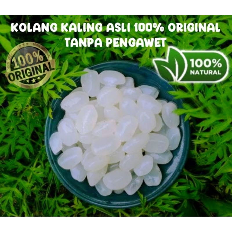 

Termurah Kolang kaling muda super kenyal 100% alami