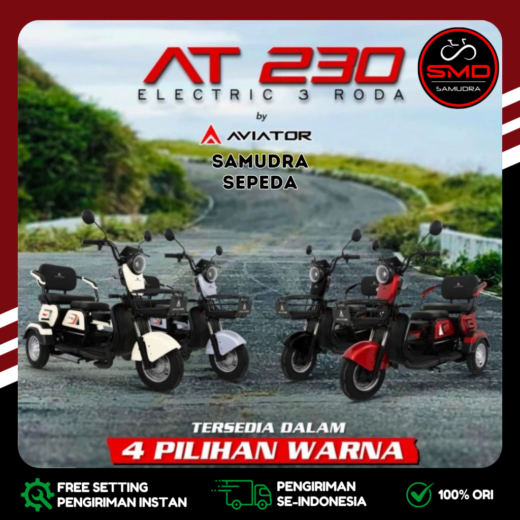 Sepeda Listrik Ebike Roda Tiga Aviator AT 230 by Pacific 650W 48V 12ah Murah Bdg