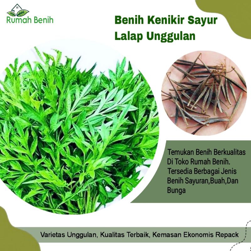 Benih Kenikir Sayur Lalap Unggulan / Bibit Benih Kenikir Sayur / Biji Benih Sayuran Kenikir  Lalap /