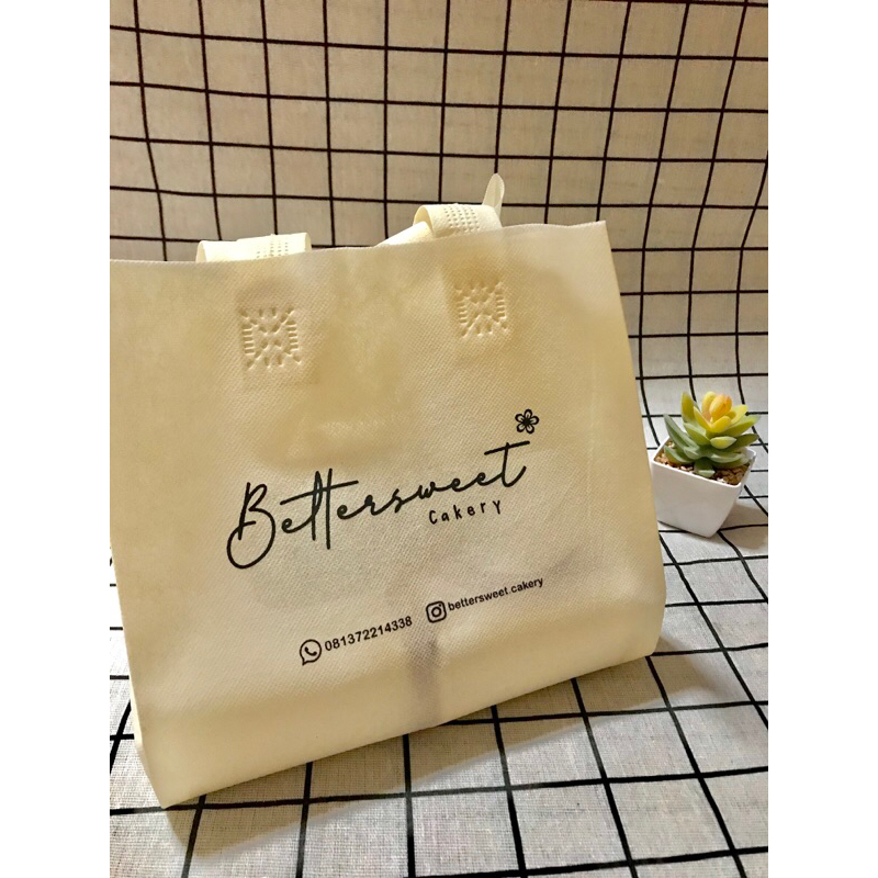 

Goodie Bag / Spunbond muat box 22 cm