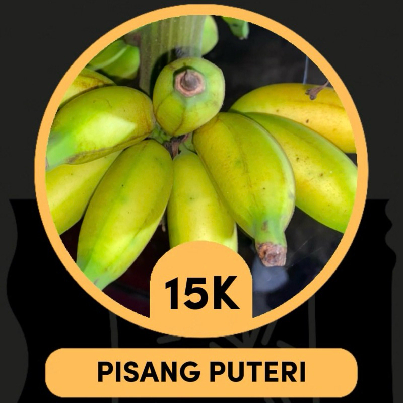 

Pisang puteri