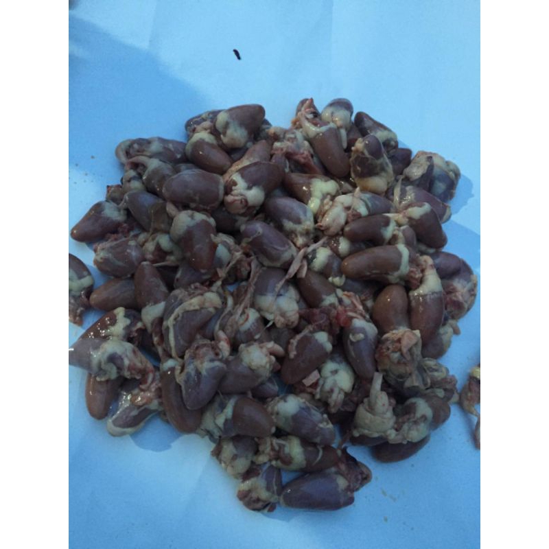 

jantung Ayam Negri 500gram