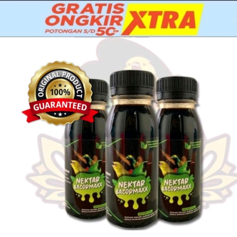 Nektar gacormaxx universitas burung gacor maxx max nekstar nextar konin kolibri sogon madu