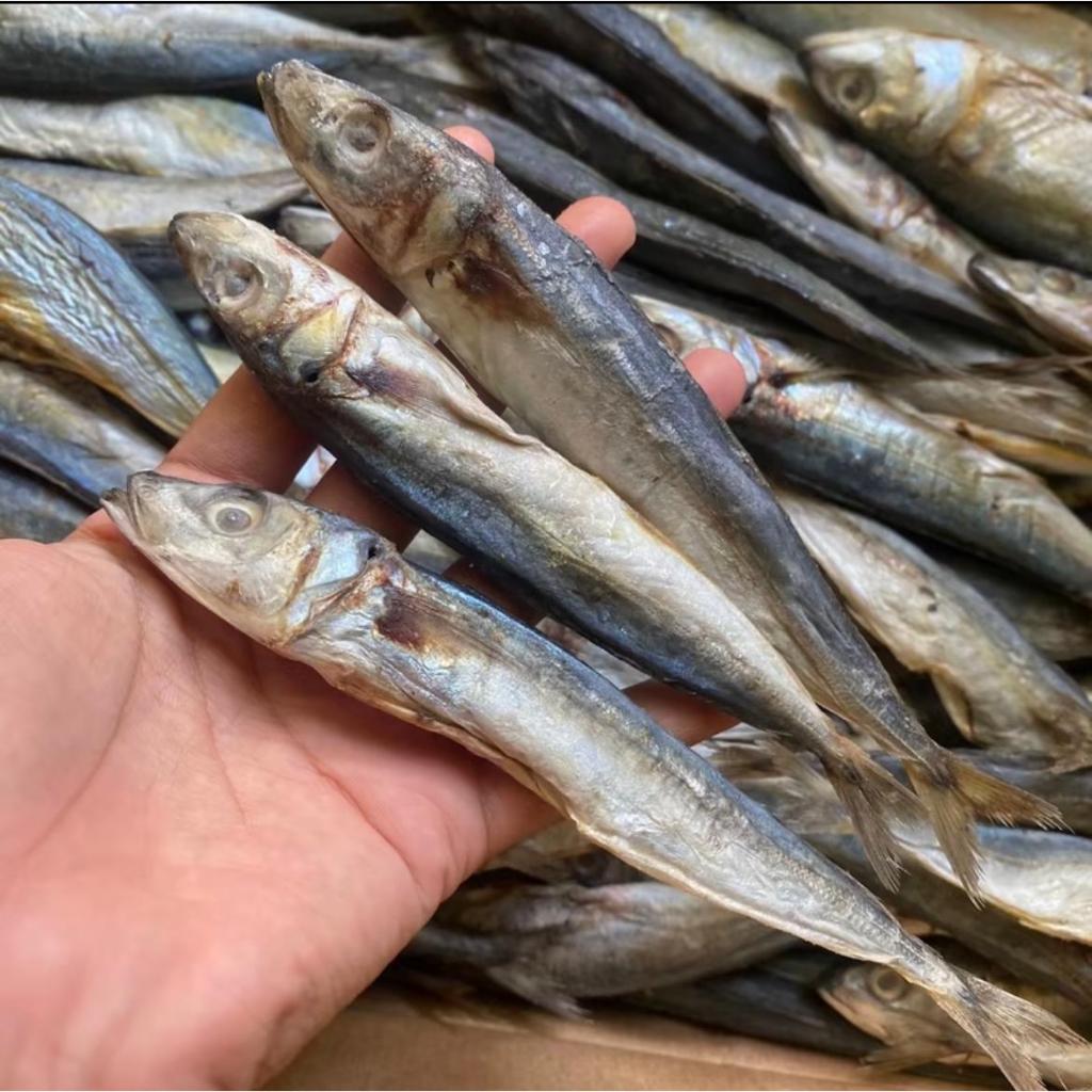 

IKAN LAYANG KLOTOK ASIN 500 GRAM