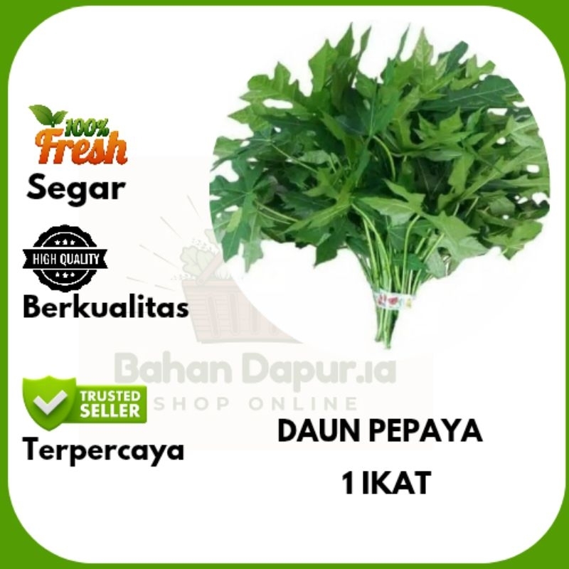

DAUN PEPAYA | 1 IKAT | Bahan Dapur .id