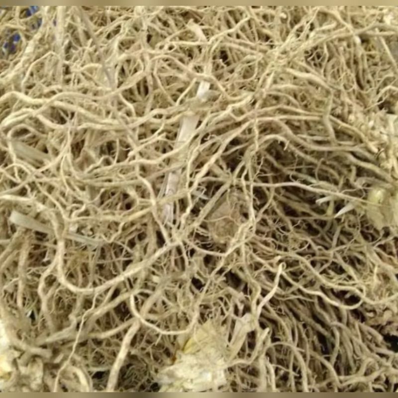 

Akar wangi kering asli 500gr