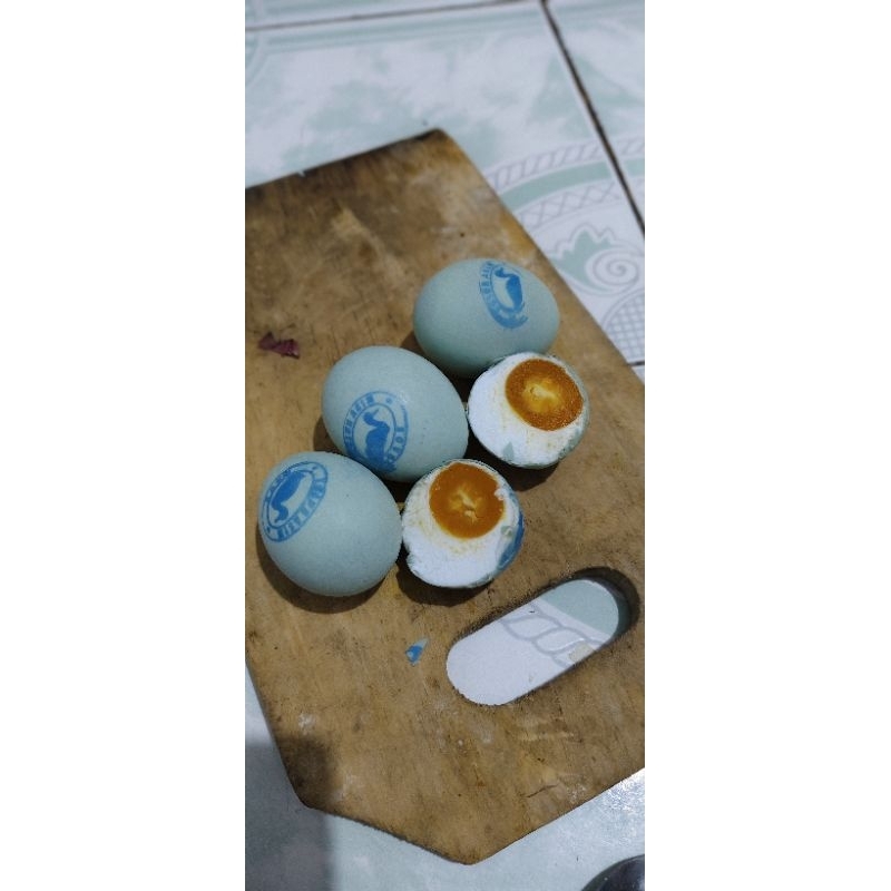 TELOR ASIN BEBEK OMEGA/MASIR