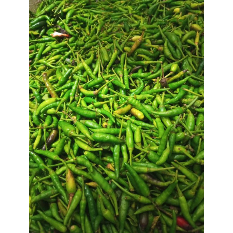 

Cabe rawit hijau pedas 250gram