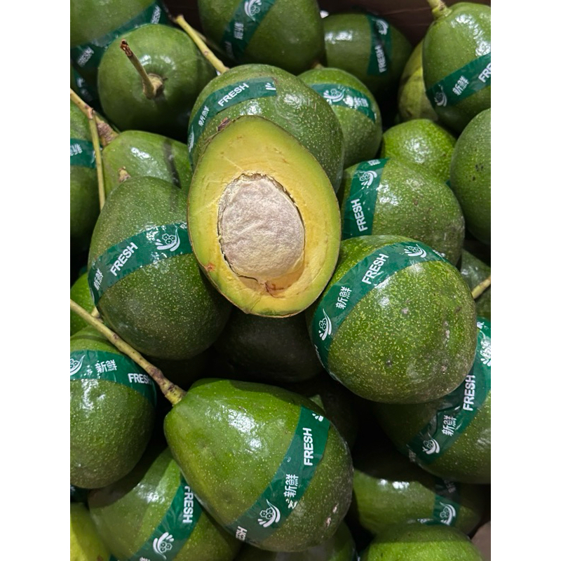 

Alpukat MIKI 1 Kg 3-4 [Varietas Unggulan] premium