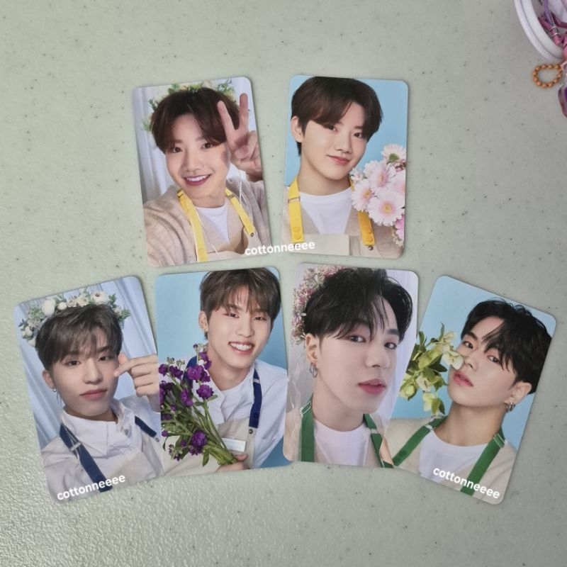 pc blooming treasure set Junkyu, Jaehyuk, Jeongwoo