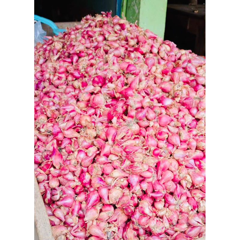 

Bawang Merah super asli Nganjuk murah