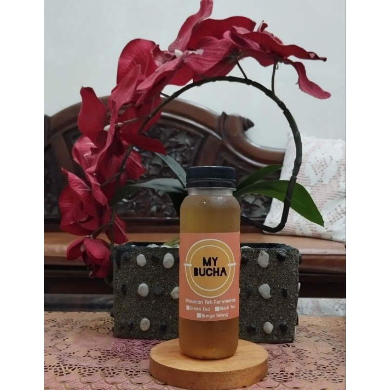 

Kombucha Green Tea Mybucha 250ml