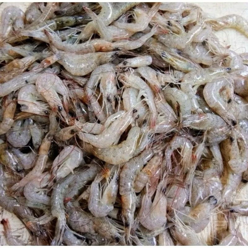 

Udang Segar size kecil 250gr