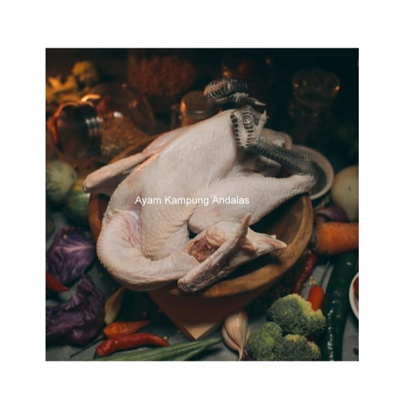 

Ayam Kampung Fresh Organik 600 - 800 Gram