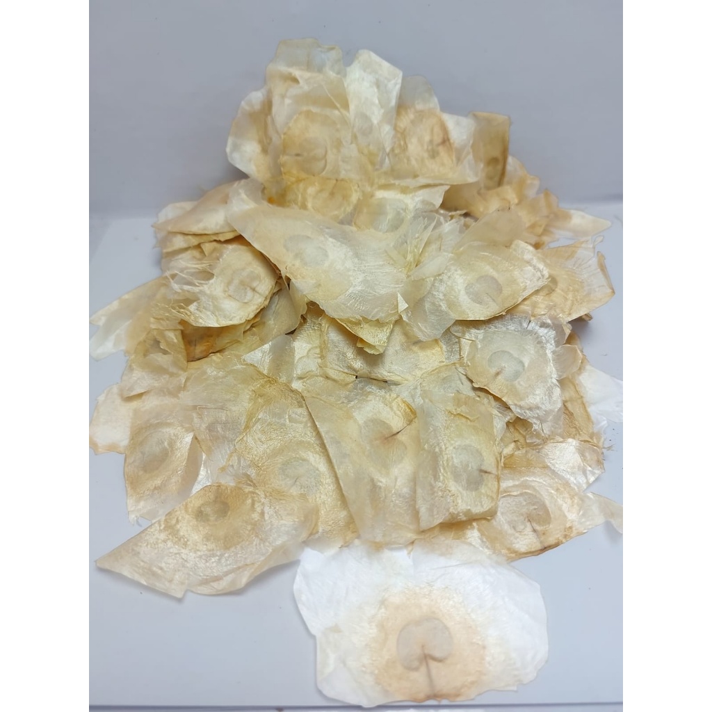 

Kertas Seribu - Qian Zhang Zhi / 千张纸 Zi - Cien Cang Ce