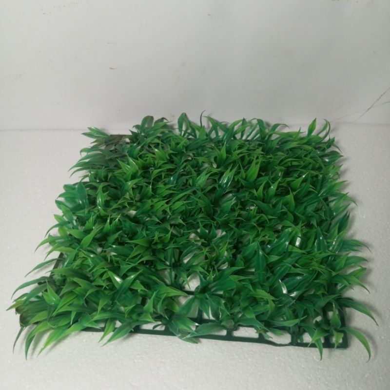 Rumput sintesis aquarium