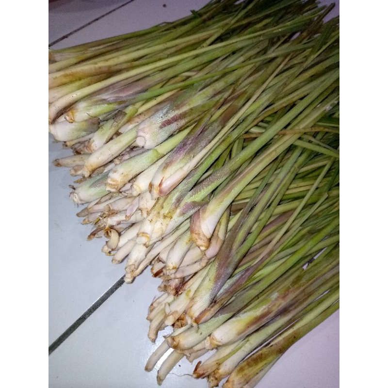 

sereh 2 ikat - Sereh segar