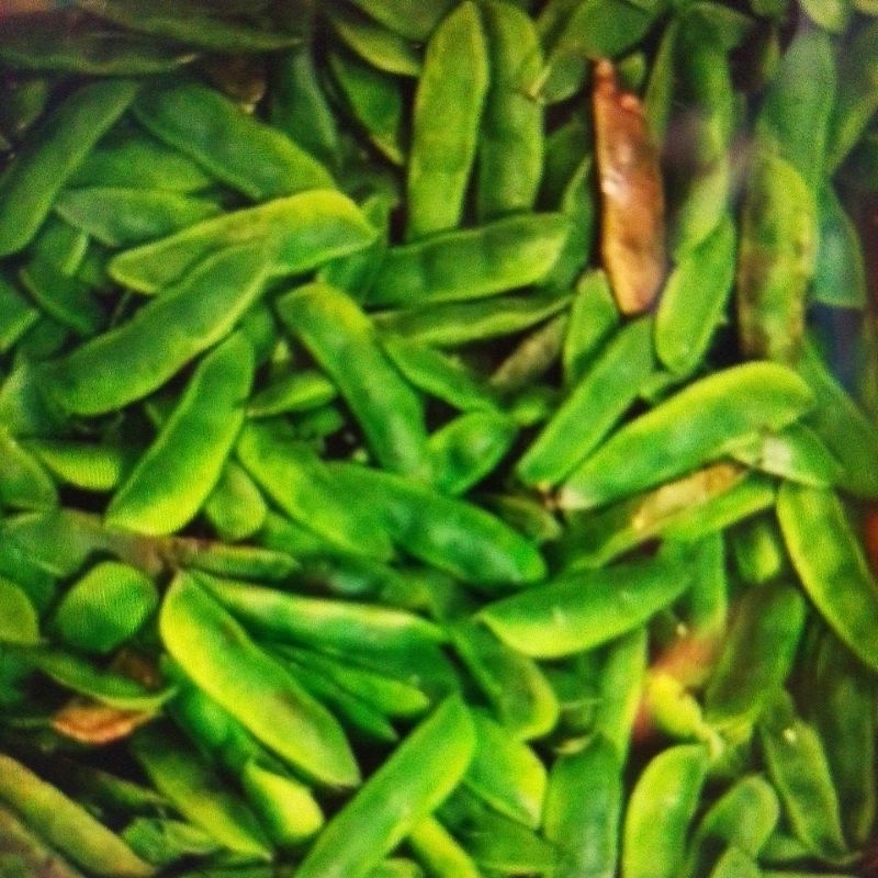 

KACANG KORO 500 GR