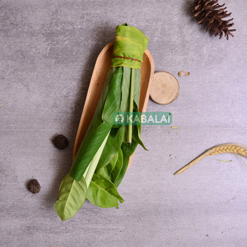 

Daun Salam + Daun Jeruk + Daun Serai Dll 1 IKat - Kabalai