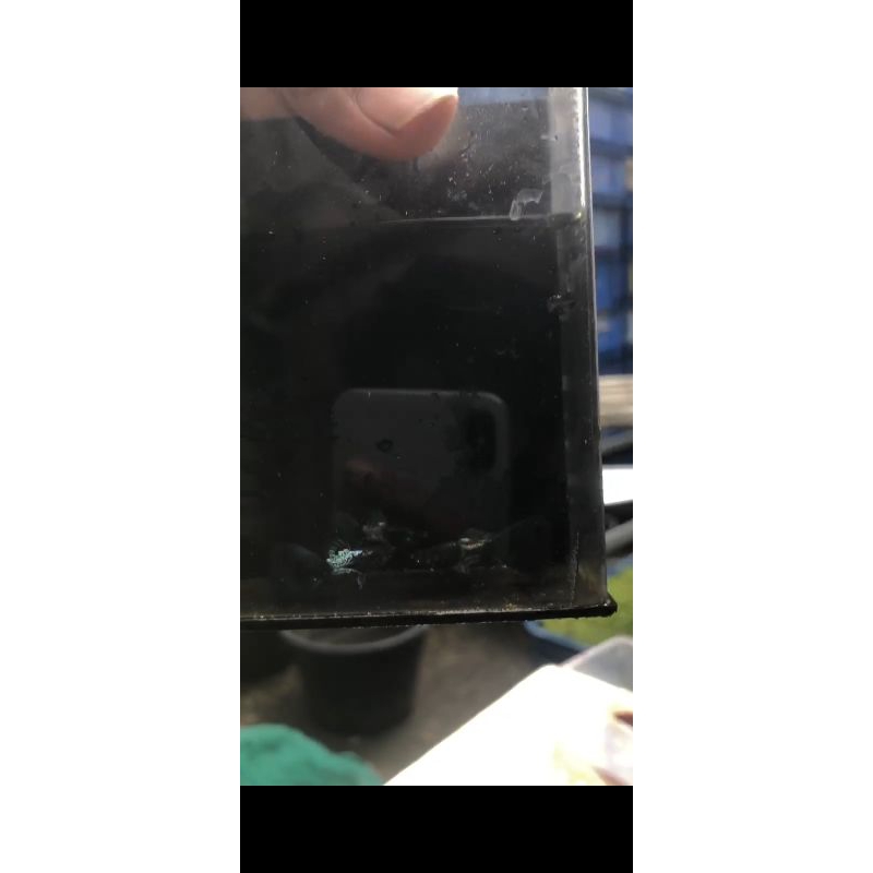 Guppy MSSBT