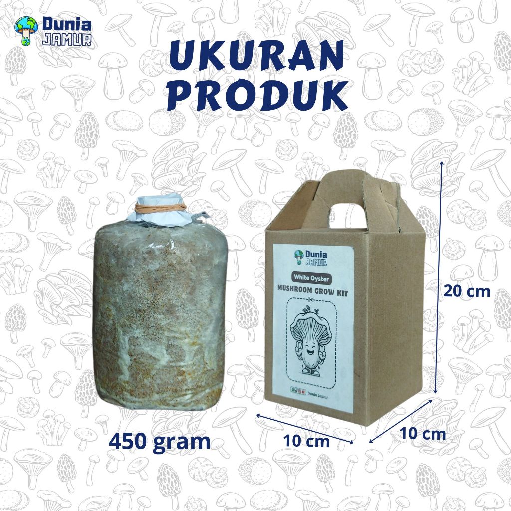 Revando45 Paket Edukasi Belajar Gardening Jamur Tiram Organik Pemula Mushroom Mini Grow Kit