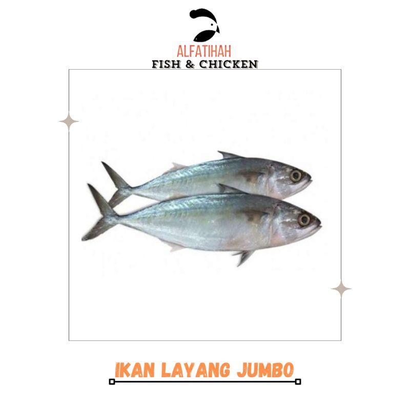 

Ikan Layang| 1Kg isi 6 Ekor