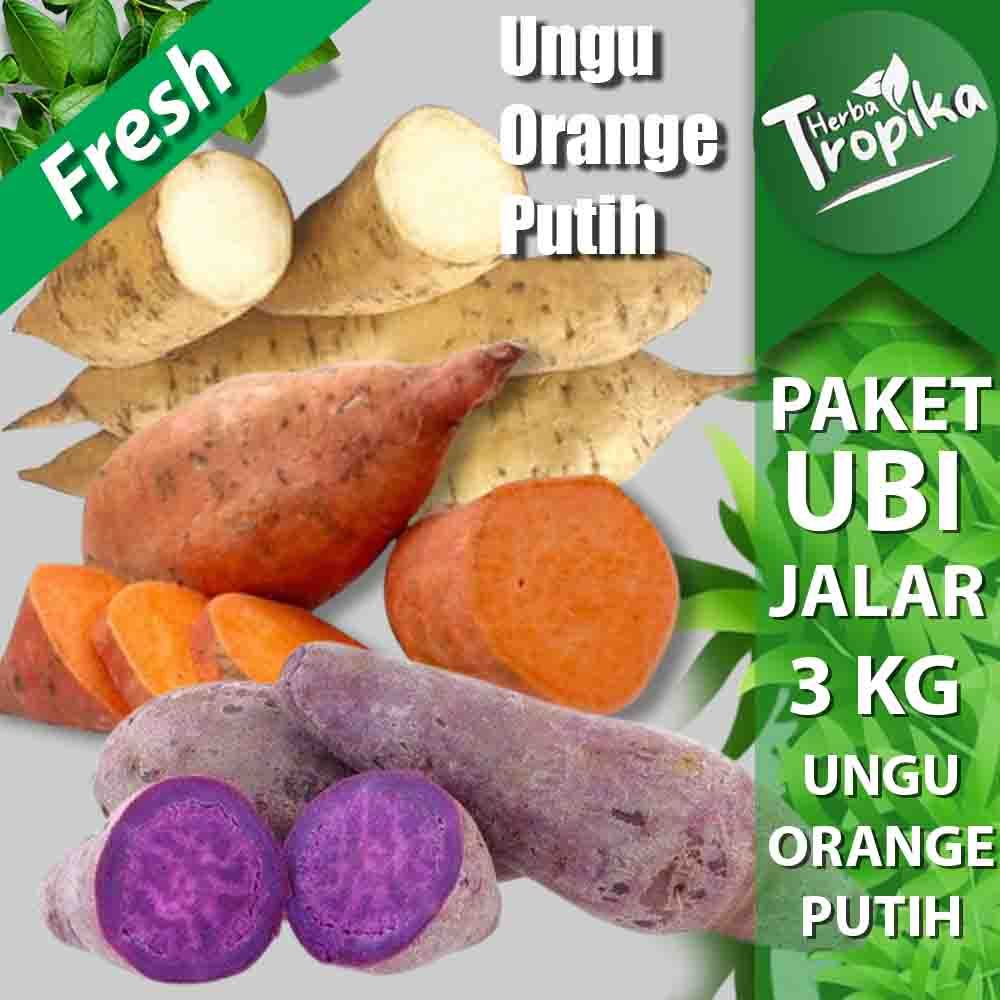 

Paket 3 Jenis Ubi Jalar Ungu, Putih, Orange 3 kg toko herba tropika