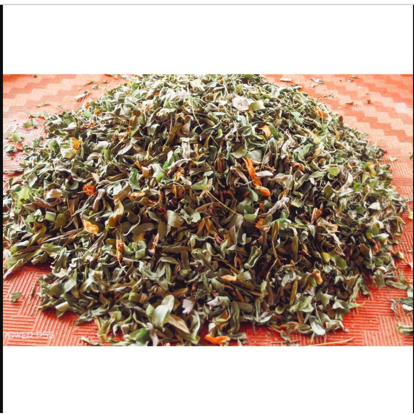 

DAUN JAYANTI KERING ALAMI / Jayanti leaves (Sesbania sesban) Natural dry