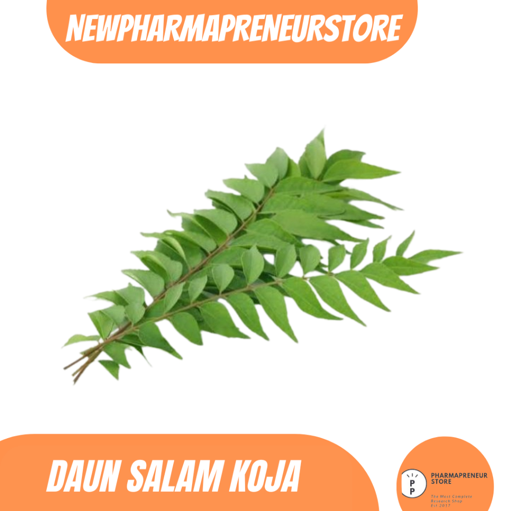 

EKSTRAK DAUN SALAM KOJA BEST QUALITY