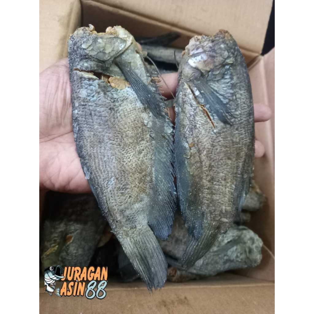 

ikan asin sepat siam 2pcs