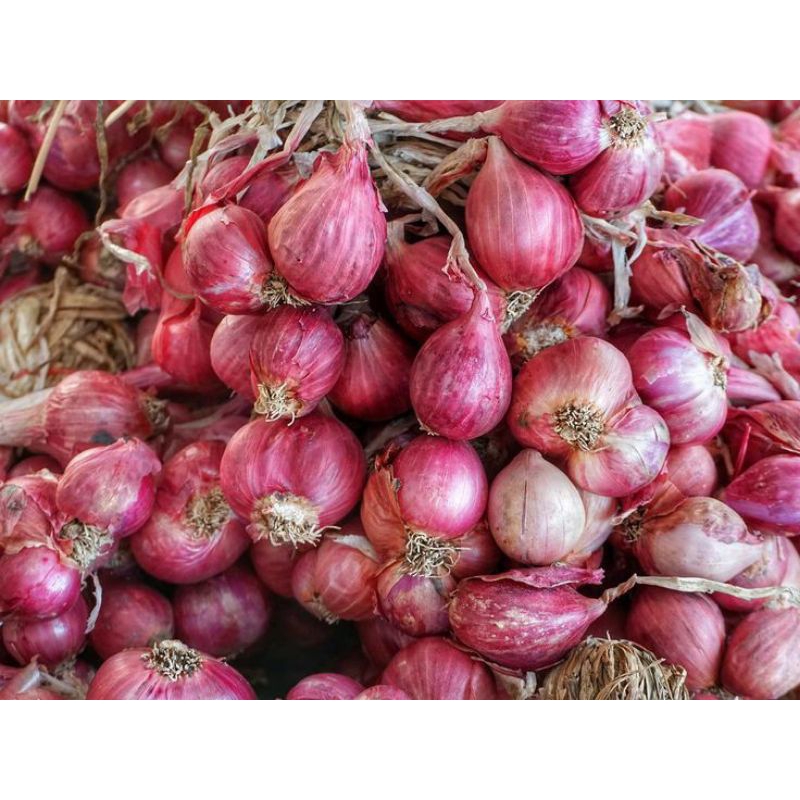 

Bawang Merah Brebes 1kg Kering Fresh