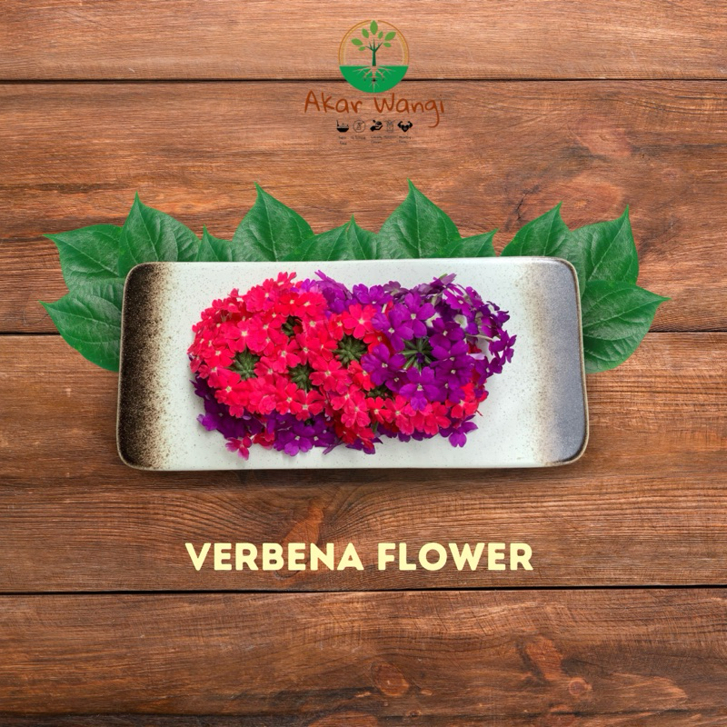 

Edible Flower Verbena Akar Wangi