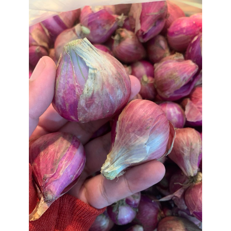 

bawang merah besar 1kg