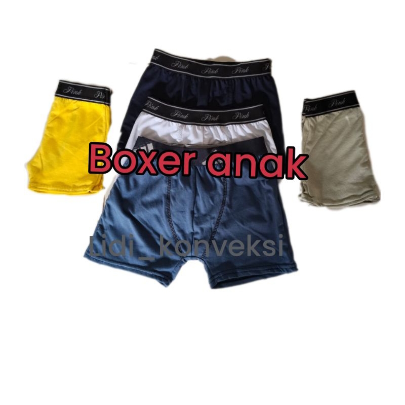 Isi 10 pcs CD boxer anak laki laki balita/tanggung /remaja  terbaru