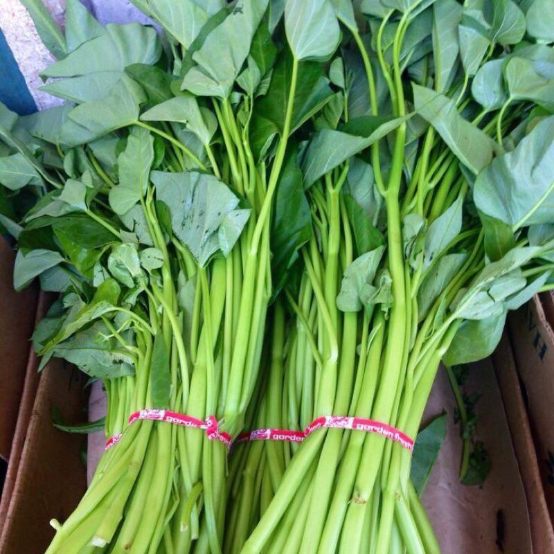 

Sayur Kangkung Fresh 250gram