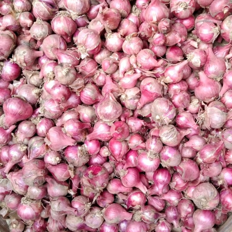 

BAWANG MERAH Bali Lokal 1kg langsung dari kebun petani
