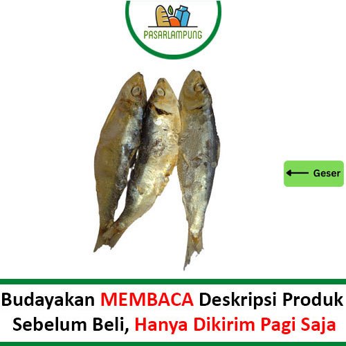 

Ikan Asin Tanjan 250 Gr Pasar Lampung